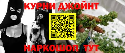 стафф Кингисепп
