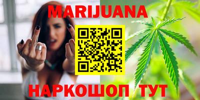 стафф Кингисепп