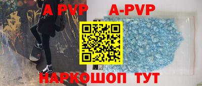 стафф Кингисепп